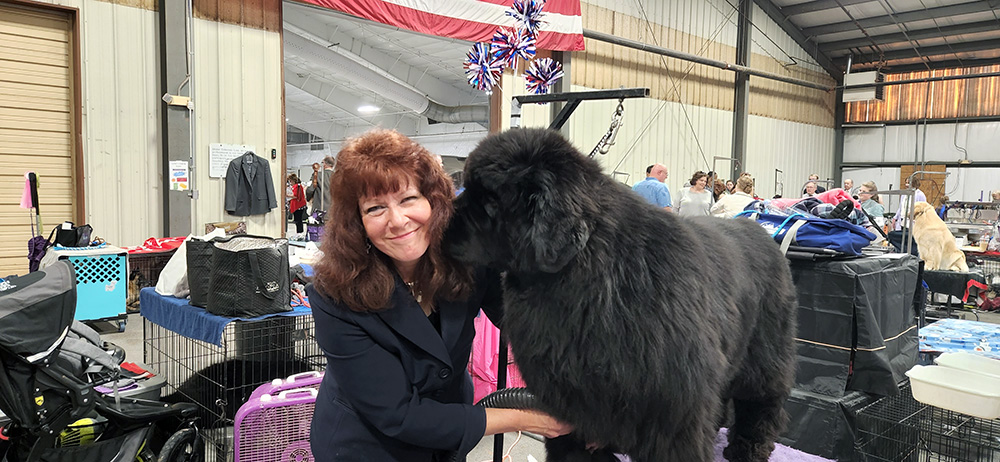 2022 Annual Show